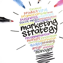 Marketing Strategy Development